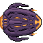 Chitin ship